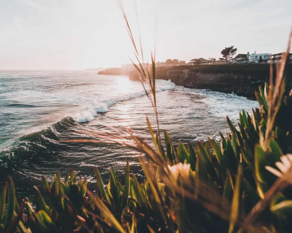 California coastline at golden hour — ocean waves, coastal cliffs and wildflowers